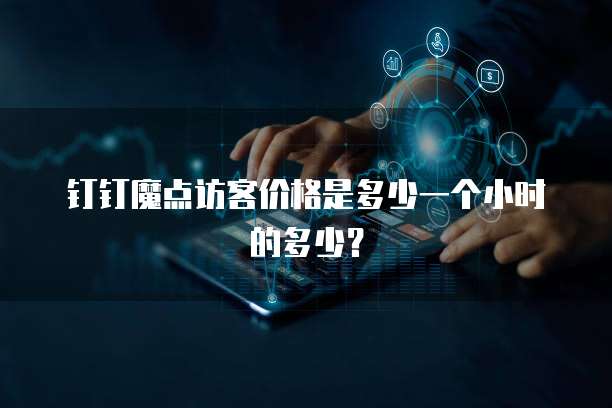 钉钉魔点访客价格是多少一个小时的多少？