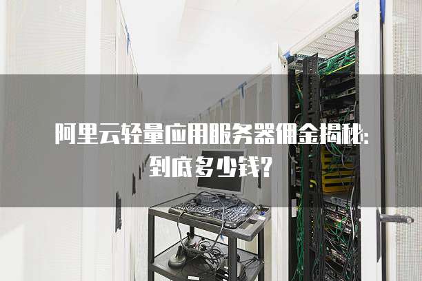 阿里云轻量应用服务器佣金揭秘:到底多少钱?