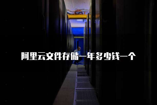 阿里云文件存储一年多少钱一个