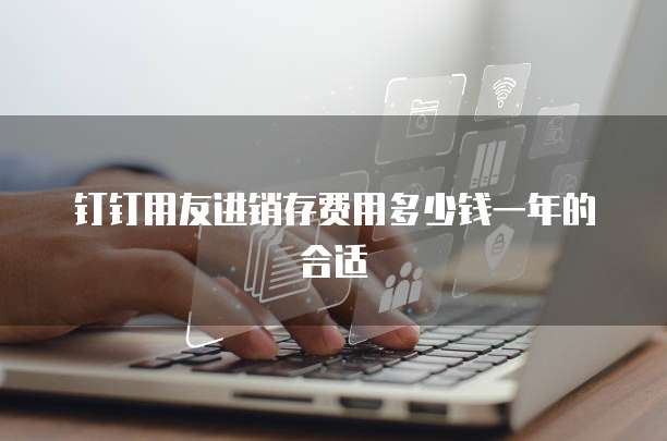 钉钉用友进销存费用多少钱一年的合适