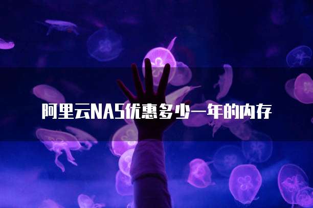 阿里云NAS优惠多少一年的内存