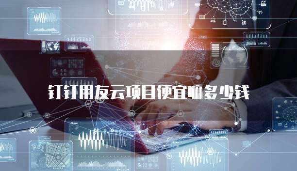 钉钉用友云项目便宜嘛多少钱