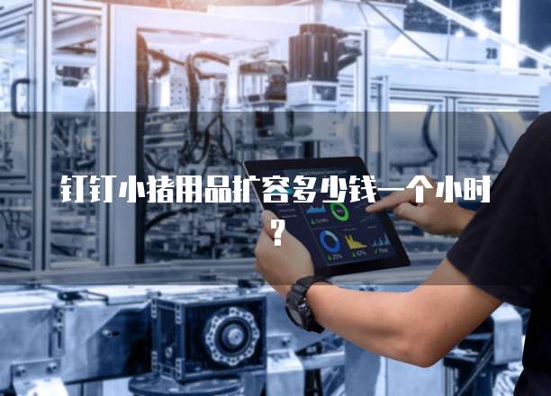 钉钉小猪用品扩容多少钱一个小时?