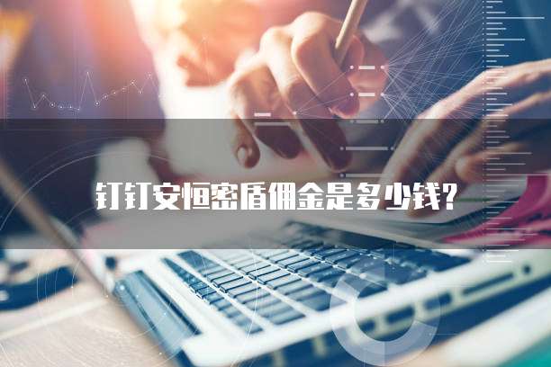 钉钉安恒密盾佣金是多少钱？