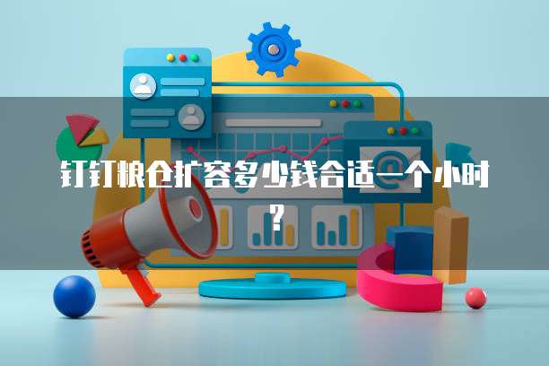 钉钉粮仓扩容多少钱合适一个小时？