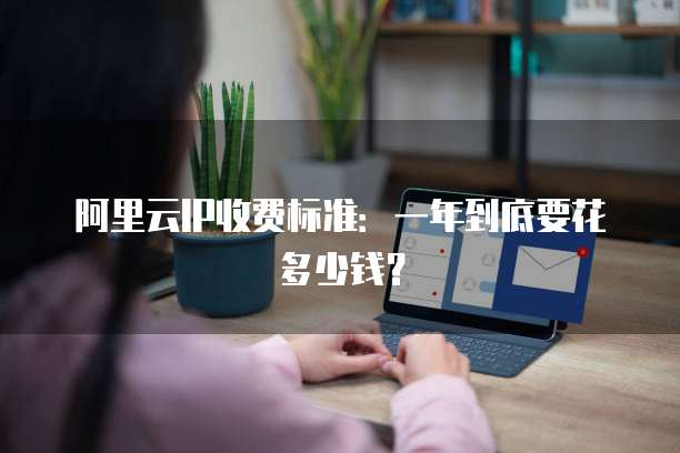 阿里云IP收费标准:一年到底要花多少钱?