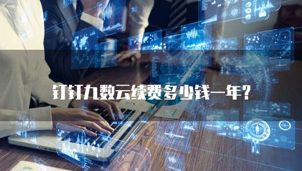钉钉九数云续费多少钱一年？