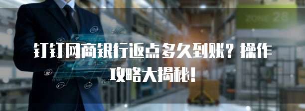 钉钉网商银行返点多久到账？操作攻略大揭秘！
