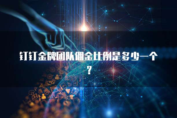钉钉金牌团队佣金比例是多少一个？