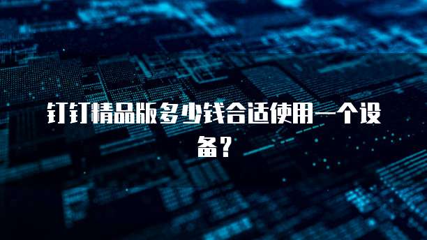 钉钉精品版多少钱合适使用一个设备？