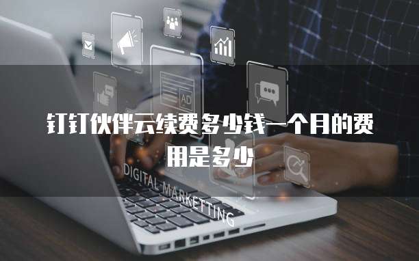 钉钉伙伴云续费多少钱一个月的费用是多少