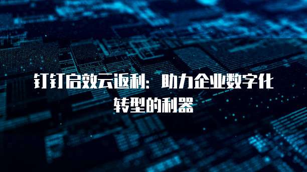 钉钉启效云返利:助力企业数字化转型的利器