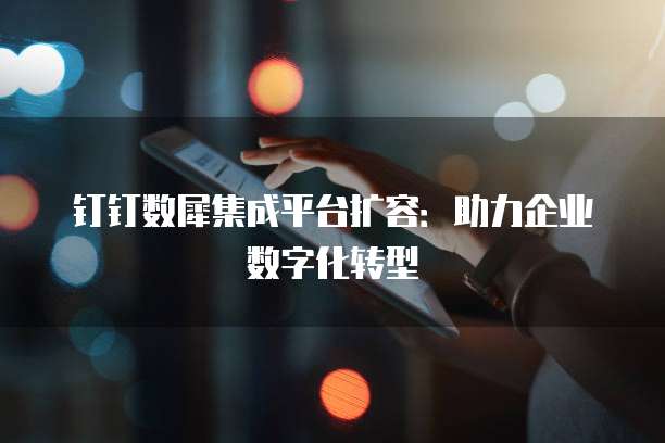 钉钉数犀集成平台扩容：助力企业数字化转型
