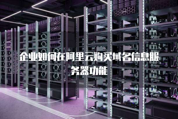 企业如何在阿里云购买域名信息服务器功能
