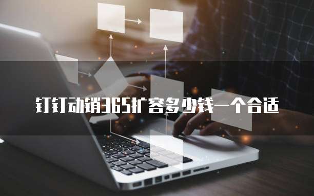 钉钉动销365扩容多少钱一个合适