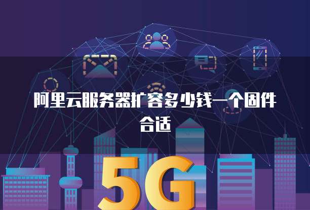 阿里云服务器扩容多少钱一个固件合适