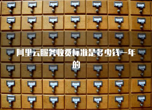 阿里云服务收费标准是多少钱一年的