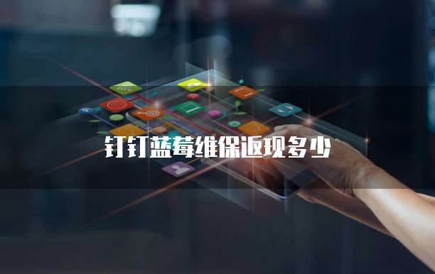 钉钉蓝莓维保返现多少