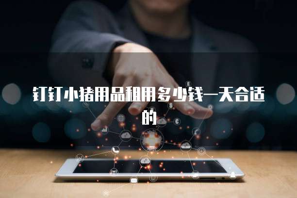 钉钉小猪用品租用多少钱一天合适的