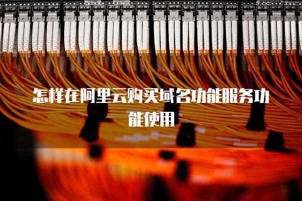 怎样在阿里云购买域名功能服务功能使用
