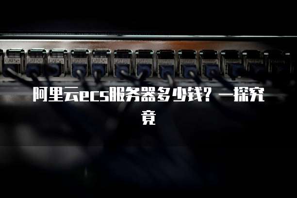 阿里云ecs服务器多少钱?一探究竟