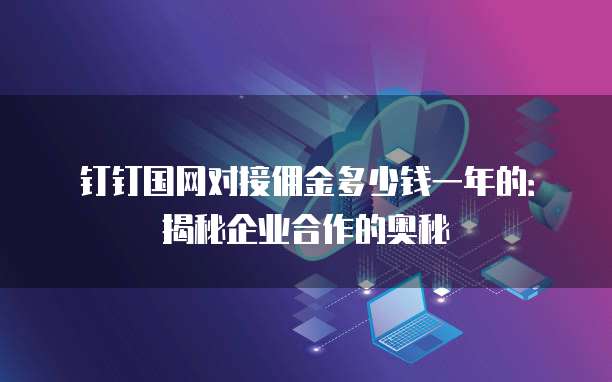 钉钉国网对接佣金多少钱一年的:揭秘企业合作的奥秘