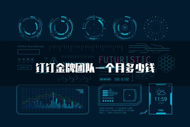 钉钉金牌团队一个月多少钱