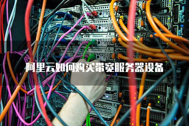 阿里云如何购买带宽服务器设备