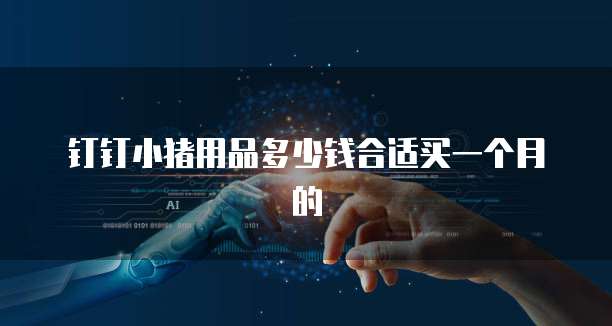 钉钉小猪用品多少钱合适买一个月的