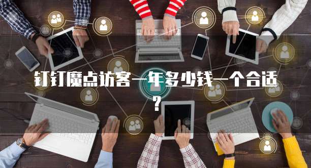 钉钉魔点访客一年多少钱一个合适？