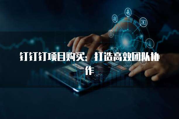 钉钉钉项目购买：打造高效团队协作