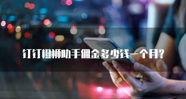钉钉橙狮助手佣金多少钱一个月?