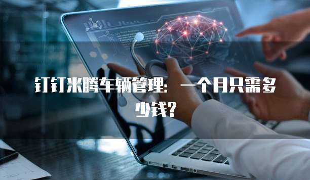 钉钉米腾车辆管理:一个月只需多少钱?