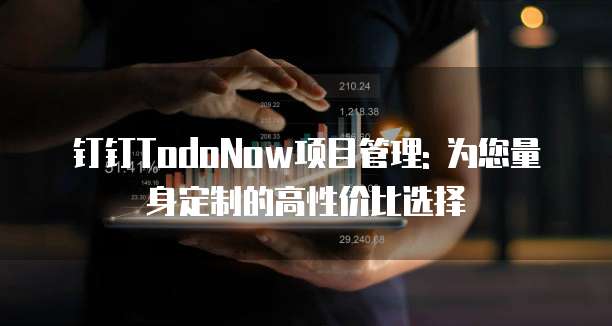 钉钉TodoNow项目管理: 为您量身定制的高性价比选择