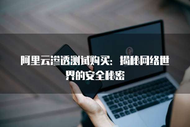 阿里云渗透测试购买:揭秘网络世界的安全秘密