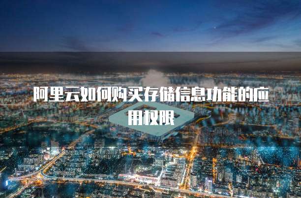 阿里云如何购买存储信息功能的应用权限