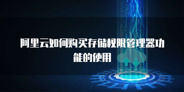 阿里云如何购买存储权限管理器功能的使用