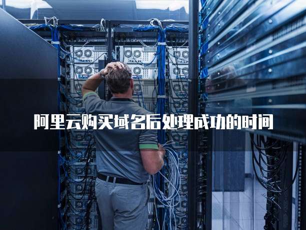 阿里云购买域名后处理成功的时间