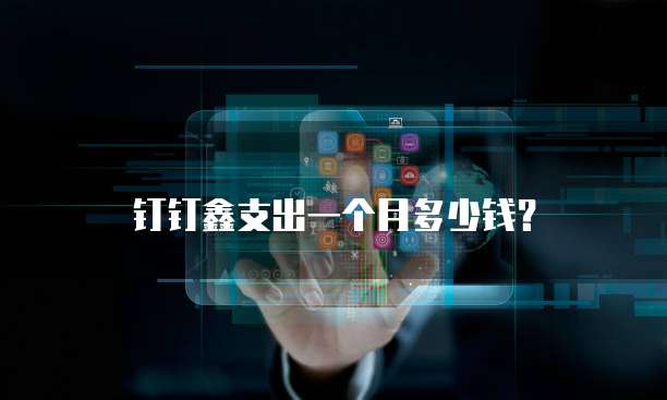 钉钉鑫支出一个月多少钱?