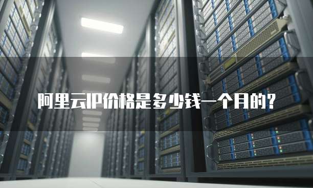 阿里云IP价格是多少钱一个月的?
