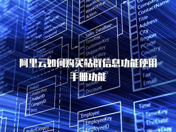 阿里云如何购买站群信息功能使用手册功能