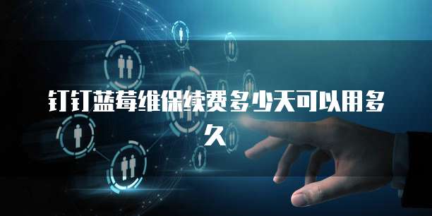 钉钉蓝莓维保续费多少天可以用多久