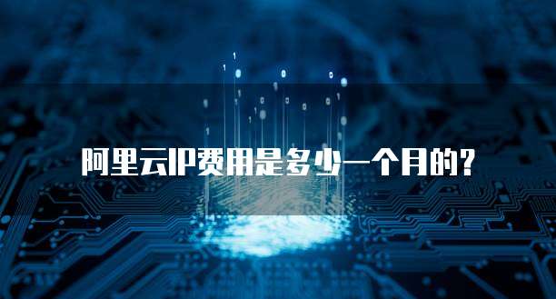 阿里云IP费用是多少一个月的?