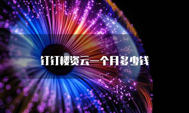 钉钉楼资云一个月多少钱