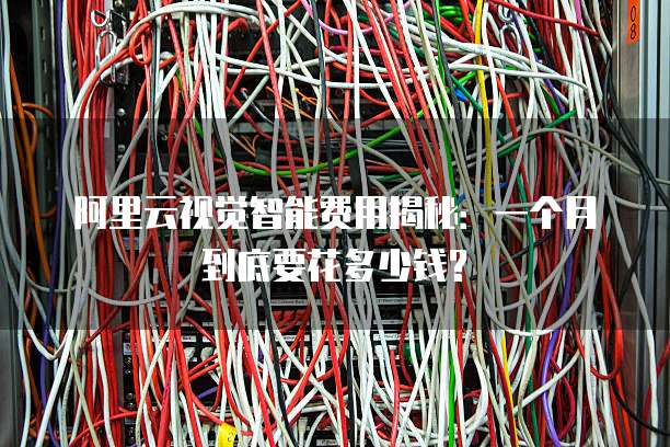 阿里云视觉智能费用揭秘:一个月到底要花多少钱?