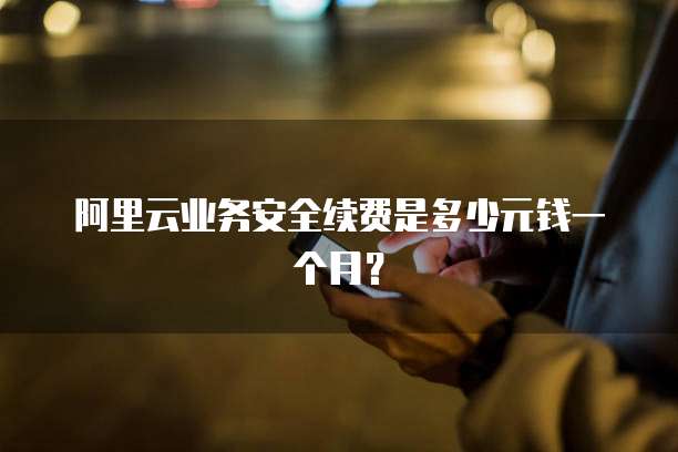 阿里云业务安全续费是多少元钱一个月?