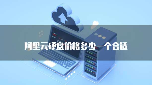 阿里云硬盘价格多少一个合适