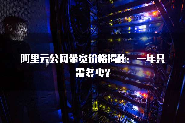 阿里云公网带宽价格揭秘：一年只需多少？