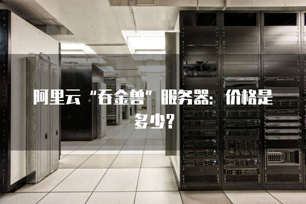 阿里云“吞金兽”服务器:价格是多少?