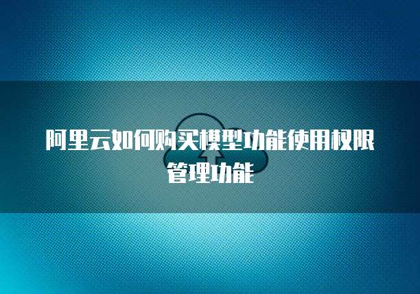 阿里云如何购买模型功能使用权限管理功能